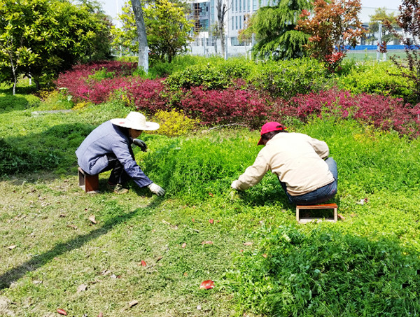 綠化養(yǎng)護